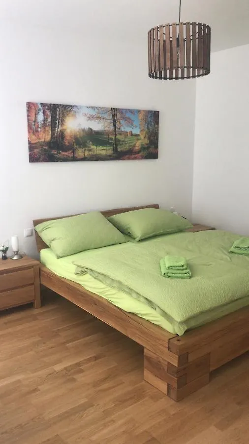 One Private Room In Luxury Apartment With Shared Kitchen And Shared Bathroom Vienne