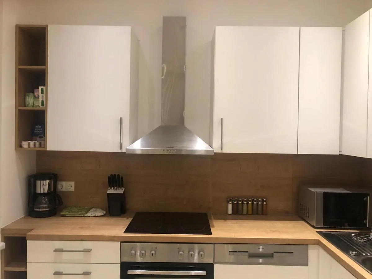 One Private Room In Luxury Apartment With Shared Kitchen And Shared Bathroom Vienne