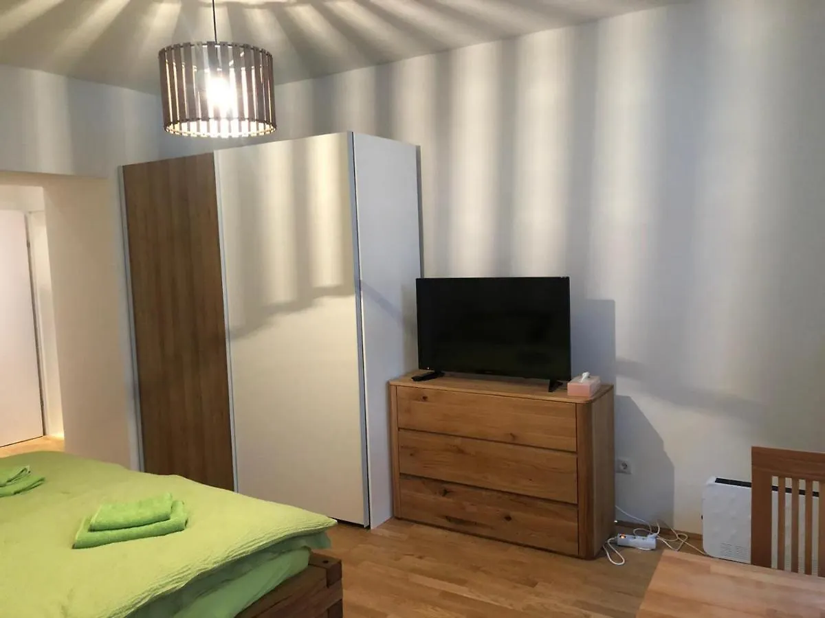 One Private Room In Luxury Apartment With Shared Kitchen And Shared Bathroom Vienne Autriche