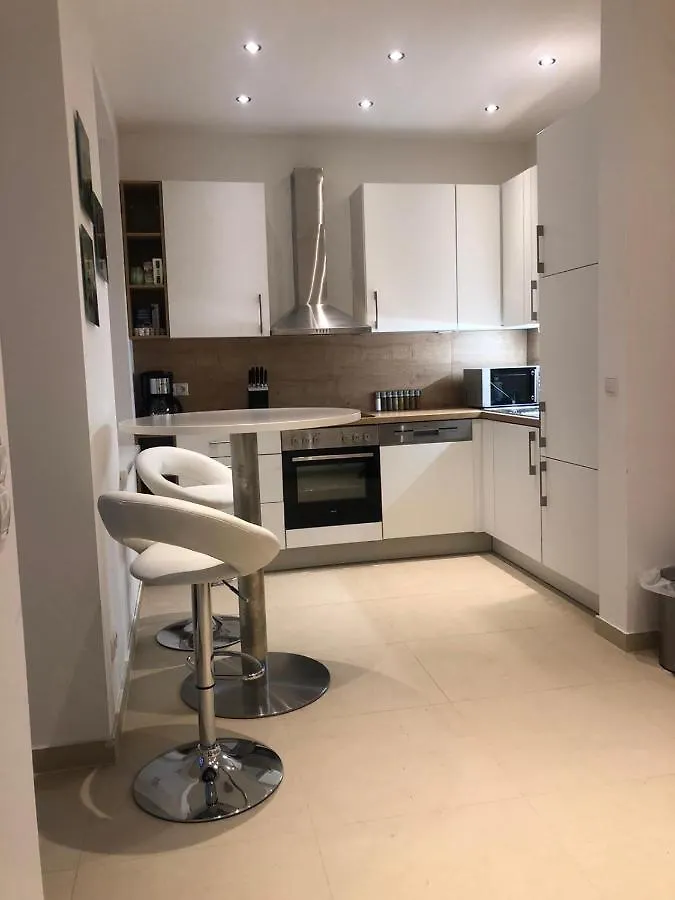 One Private Room In Luxury Apartment With Shared Kitchen And Shared Bathroom Vienne